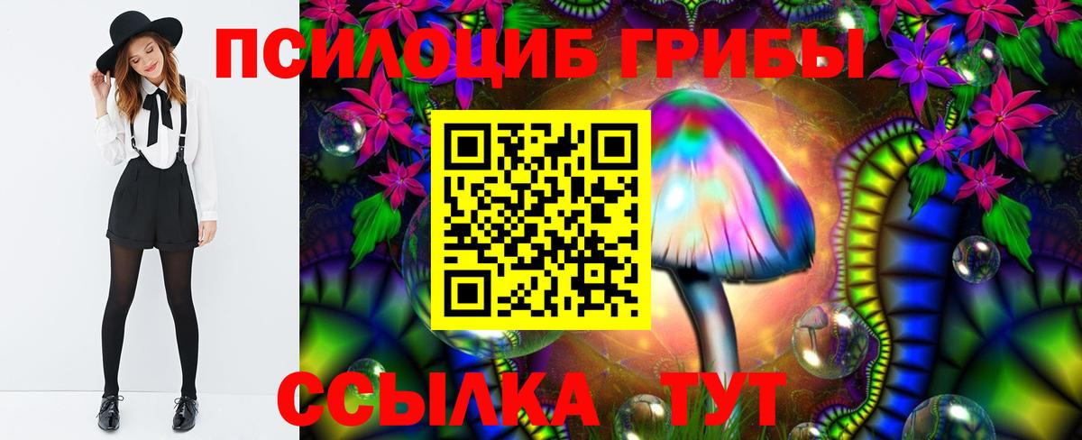 Галлюциногенные грибы Cubensis  Псилоцибиновые грибы мицелий  Ревда  Вход с VPN 